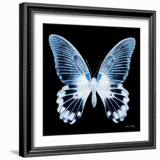 Miss Butterfly Agenor Sq - X-Ray Black Edition-Philippe Hugonnard-Framed Photographic Print