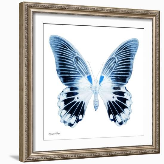 Miss Butterfly Agenor Sq - X-Ray White Edition-Philippe Hugonnard-Framed Photographic Print