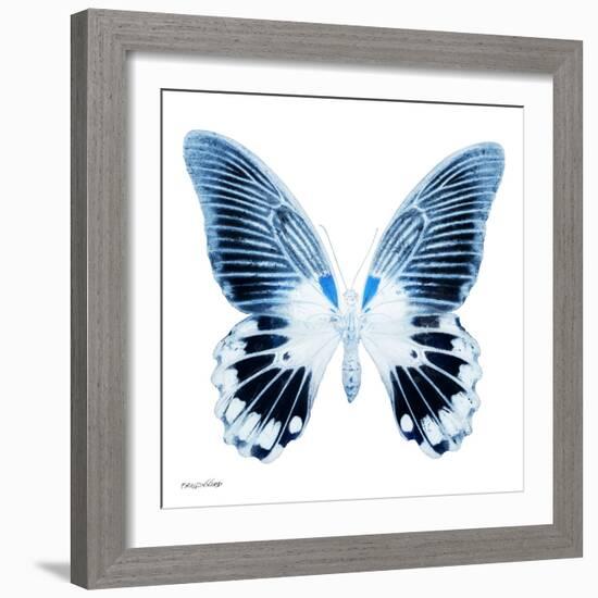 Miss Butterfly Agenor Sq - X-Ray White Edition-Philippe Hugonnard-Framed Photographic Print