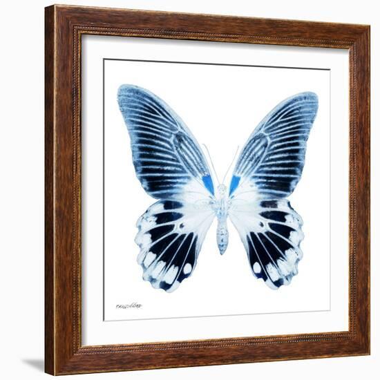 Miss Butterfly Agenor Sq - X-Ray White Edition-Philippe Hugonnard-Framed Photographic Print