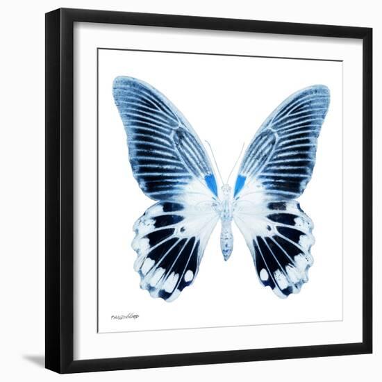 Miss Butterfly Agenor Sq - X-Ray White Edition-Philippe Hugonnard-Framed Photographic Print