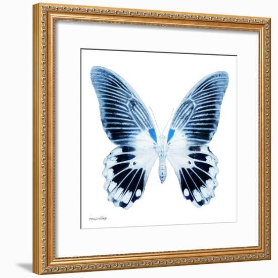 Miss Butterfly Agenor Sq - X-Ray White Edition-Philippe Hugonnard-Framed Photographic Print