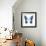 Miss Butterfly Agenor Sq - X-Ray White Edition-Philippe Hugonnard-Framed Photographic Print displayed on a wall