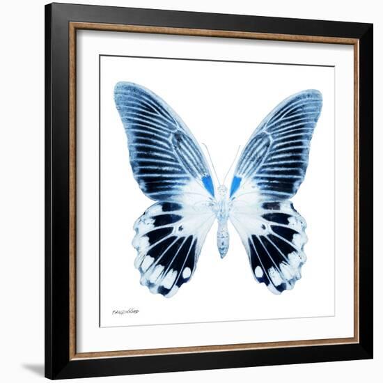 Miss Butterfly Agenor Sq - X-Ray White Edition-Philippe Hugonnard-Framed Photographic Print