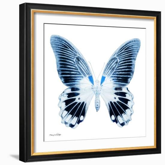 Miss Butterfly Agenor Sq - X-Ray White Edition-Philippe Hugonnard-Framed Photographic Print