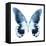 Miss Butterfly Agenor Sq - X-Ray White Edition-Philippe Hugonnard-Framed Stretched Canvas