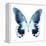 Miss Butterfly Agenor Sq - X-Ray White Edition-Philippe Hugonnard-Framed Stretched Canvas