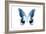 Miss Butterfly Agenor - X-Ray White Edition-Philippe Hugonnard-Framed Photographic Print