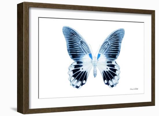 Miss Butterfly Agenor - X-Ray White Edition-Philippe Hugonnard-Framed Photographic Print