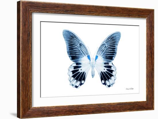 Miss Butterfly Agenor - X-Ray White Edition-Philippe Hugonnard-Framed Photographic Print