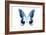 Miss Butterfly Agenor - X-Ray White Edition-Philippe Hugonnard-Framed Photographic Print