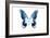 Miss Butterfly Agenor - X-Ray White Edition-Philippe Hugonnard-Framed Photographic Print