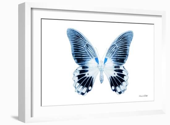 Miss Butterfly Agenor - X-Ray White Edition-Philippe Hugonnard-Framed Photographic Print