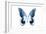 Miss Butterfly Agenor - X-Ray White Edition-Philippe Hugonnard-Framed Photographic Print