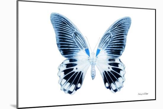 Miss Butterfly Agenor - X-Ray White Edition-Philippe Hugonnard-Mounted Photographic Print