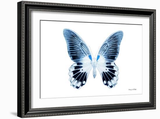 Miss Butterfly Agenor - X-Ray White Edition-Philippe Hugonnard-Framed Photographic Print