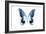 Miss Butterfly Agenor - X-Ray White Edition-Philippe Hugonnard-Framed Photographic Print