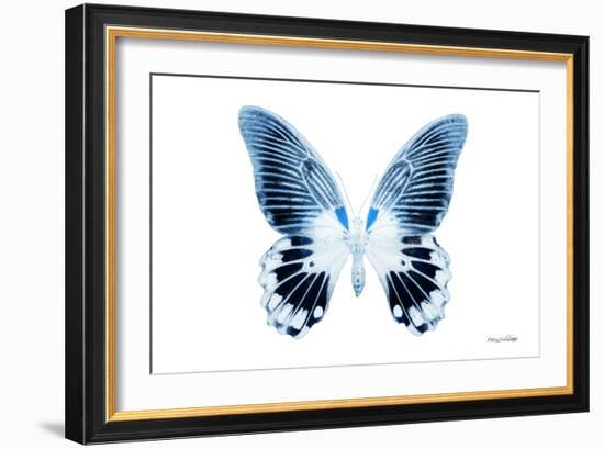 Miss Butterfly Agenor - X-Ray White Edition-Philippe Hugonnard-Framed Photographic Print