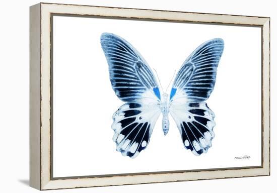 Miss Butterfly Agenor - X-Ray White Edition-Philippe Hugonnard-Framed Premier Image Canvas