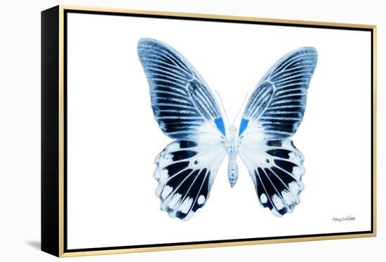 Miss Butterfly Agenor - X-Ray White Edition-Philippe Hugonnard-Framed Premier Image Canvas