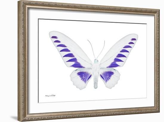 Miss Butterfly Brookiana - X-Ray White Edition-Philippe Hugonnard-Framed Photographic Print