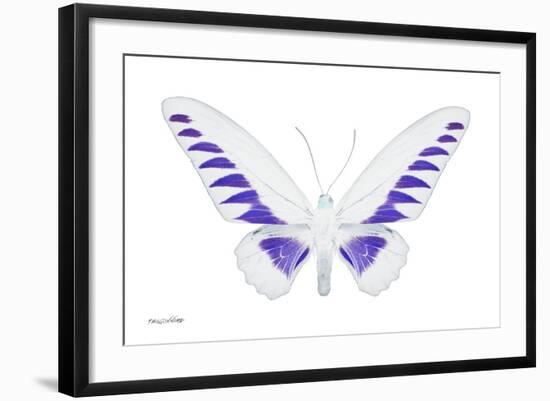 Miss Butterfly Brookiana - X-Ray White Edition-Philippe Hugonnard-Framed Photographic Print