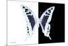 Miss Butterfly Cloanthus - X-Ray B&W Edition-Philippe Hugonnard-Mounted Premium Photographic Print