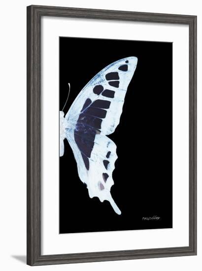 Miss Butterfly Cloanthus - X-Ray Right Black Edition-Philippe Hugonnard-Framed Premium Photographic Print