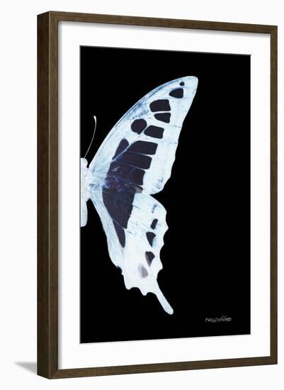 Miss Butterfly Cloanthus - X-Ray Right Black Edition-Philippe Hugonnard-Framed Premium Photographic Print