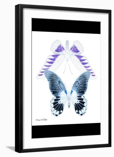 Miss Butterfly Duo Brookagenor II - X-Ray B&W Edition-Philippe Hugonnard-Framed Photographic Print