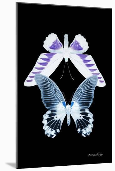 Miss Butterfly Duo Brookagenor II - X-Ray Black Edition-Philippe Hugonnard-Mounted Photographic Print