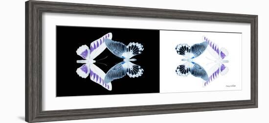 Miss Butterfly Duo Brookagenor Pan - X-Ray B&W Edition-Philippe Hugonnard-Framed Photographic Print