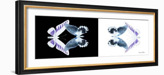 Miss Butterfly Duo Brookagenor Pan - X-Ray B&W Edition-Philippe Hugonnard-Framed Photographic Print