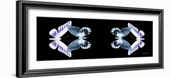 Miss Butterfly Duo Brookagenor Pan - X-Ray Black Edition II-Philippe Hugonnard-Framed Photographic Print