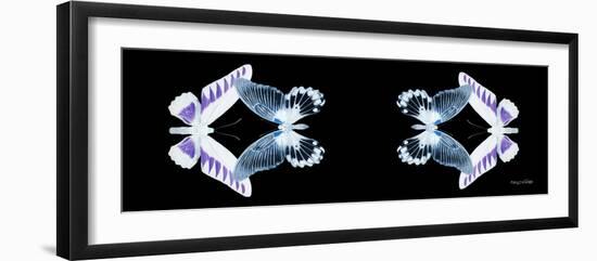 Miss Butterfly Duo Brookagenor Pan - X-Ray Black Edition II-Philippe Hugonnard-Framed Photographic Print