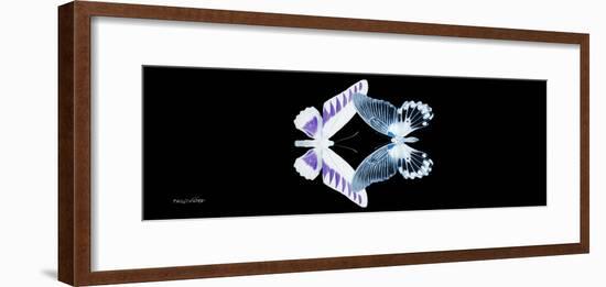 Miss Butterfly Duo Brookagenor Pan - X-Ray Black Edition-Philippe Hugonnard-Framed Photographic Print