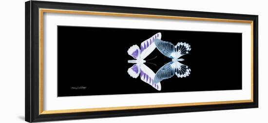 Miss Butterfly Duo Brookagenor Pan - X-Ray Black Edition-Philippe Hugonnard-Framed Photographic Print