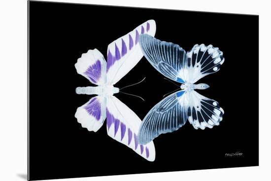 Miss Butterfly Duo Brookagenor - X-Ray Black Edition-Philippe Hugonnard-Mounted Photographic Print