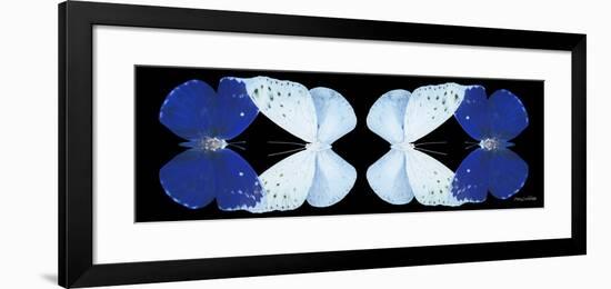 Miss Butterfly Duo Catoploea Pan - X-Ray Black Edition II-Philippe Hugonnard-Framed Photographic Print