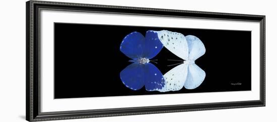 Miss Butterfly Duo Catoploea Pan - X-Ray Black Edition-Philippe Hugonnard-Framed Photographic Print