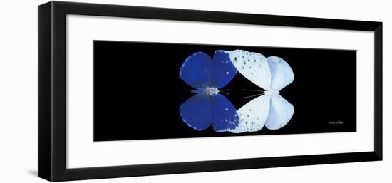 Miss Butterfly Duo Catoploea Pan - X-Ray Black Edition-Philippe Hugonnard-Framed Photographic Print