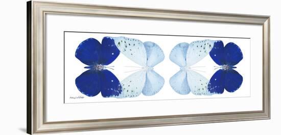 Miss Butterfly Duo Catoploea Pan - X-Ray White Edition II-Philippe Hugonnard-Framed Photographic Print