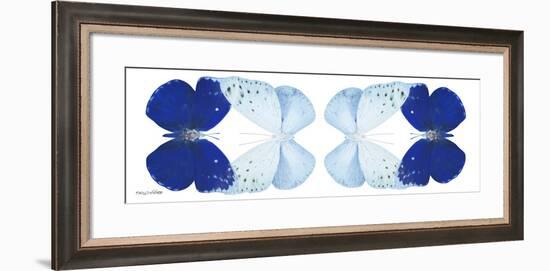 Miss Butterfly Duo Catoploea Pan - X-Ray White Edition II-Philippe Hugonnard-Framed Photographic Print