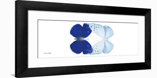 Miss Butterfly Duo Catoploea Pan - X-Ray White Edition-Philippe Hugonnard-Framed Photographic Print