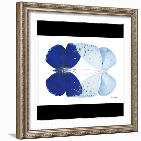 Miss Butterfly Duo Catoploea Sq - X-Ray B&W Edition-Philippe Hugonnard-Framed Photographic Print