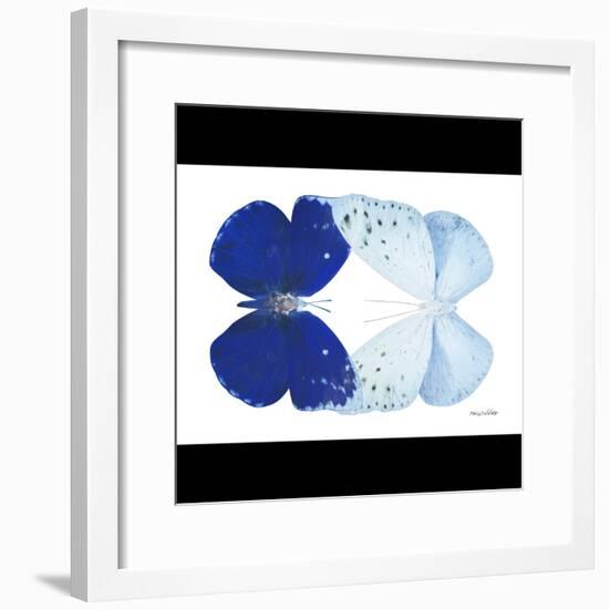 Miss Butterfly Duo Catoploea Sq - X-Ray B&W Edition-Philippe Hugonnard-Framed Photographic Print