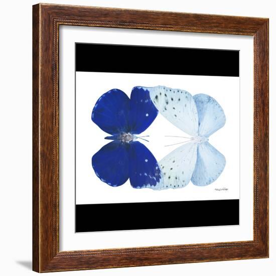 Miss Butterfly Duo Catoploea Sq - X-Ray B&W Edition-Philippe Hugonnard-Framed Photographic Print