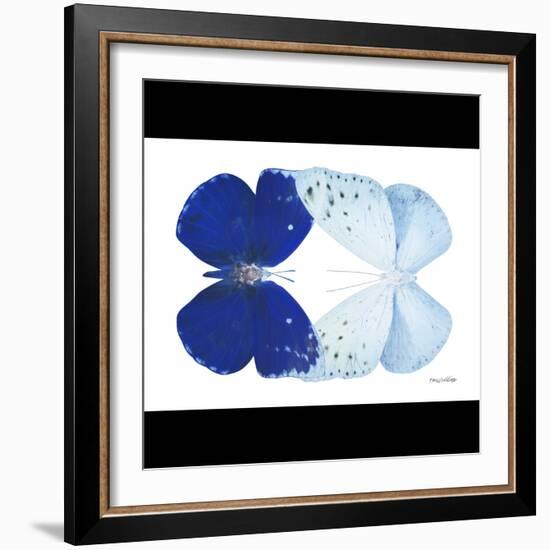 Miss Butterfly Duo Catoploea Sq - X-Ray B&W Edition-Philippe Hugonnard-Framed Photographic Print