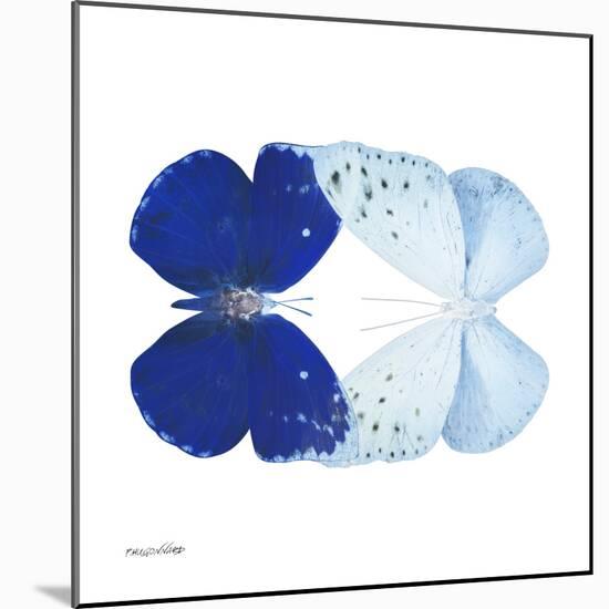 Miss Butterfly Duo Catoploea Sq - X-Ray White Edition-Philippe Hugonnard-Mounted Photographic Print