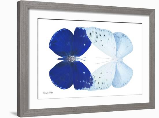 Miss Butterfly Duo Catoploea - X-Ray White Edition-Philippe Hugonnard-Framed Photographic Print